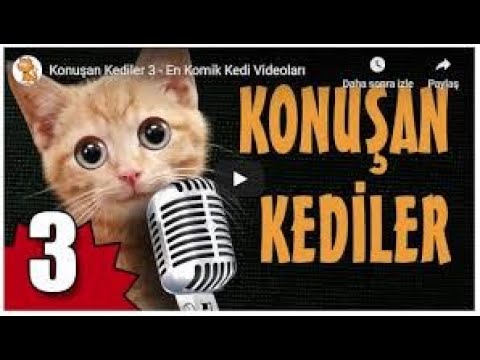 Konuşan Kediler  3 - En Komik Kedi Videoları