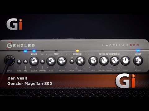 Genzler Amplification Magellan 800 Bass Head image 4
