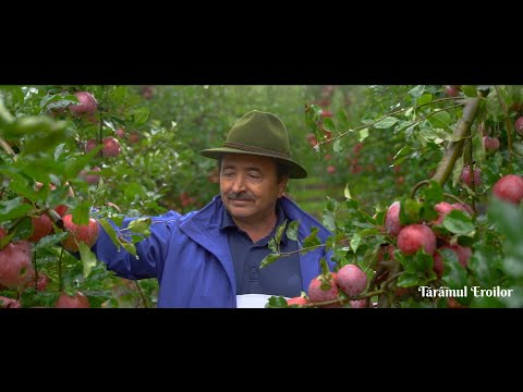 THE LAND OF HEROES: Ioan Popa - farmer from Alba County