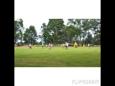 Clarence Coast Magpies JRL Club