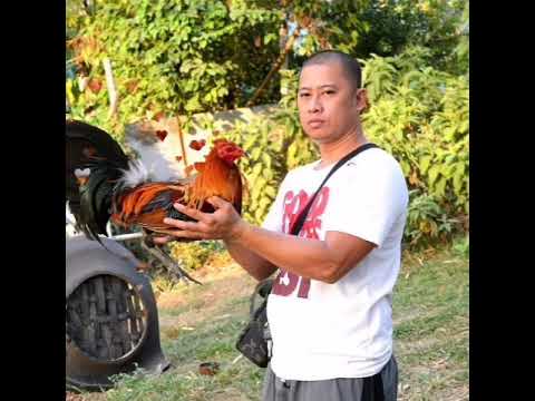 my baseline col givens hatch