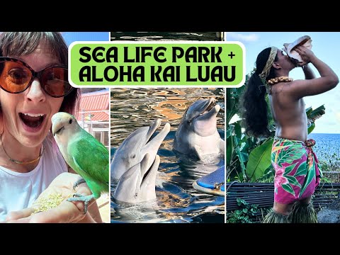 Sea Life Park + Aloha Kai Luau | The Perfect Half Day Trip from Honolulu