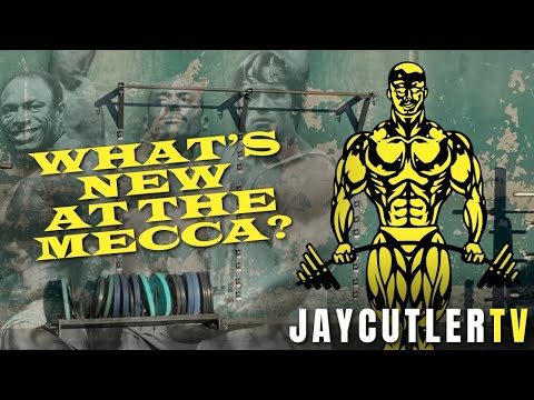 GOLD'S GYM VENICE TODAY!