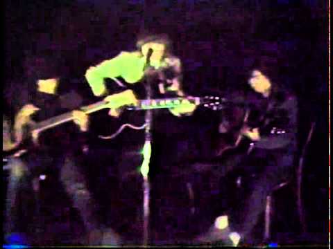 The Leopards - In A Daze (live in the park)