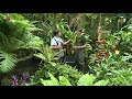 Zomertour: Waden en knippen in de jungle
