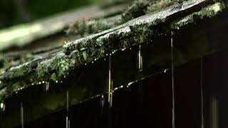 Gutter Cleaning Sydney