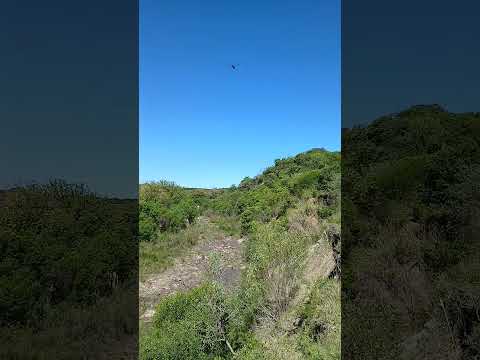 El Chapeton de Colonia Celina. Parana Campaña. Entre Rios. Parte 21