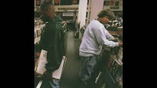 Building Steam With A Grain Of Salt - Dj Shadow (Splinter Cell Conviction Mix &amp; Extended)