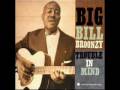 Big Bill Broonzy: Black, Brown and White 