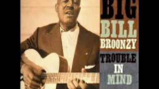 Big Bill Broonzy: Black Brown and White