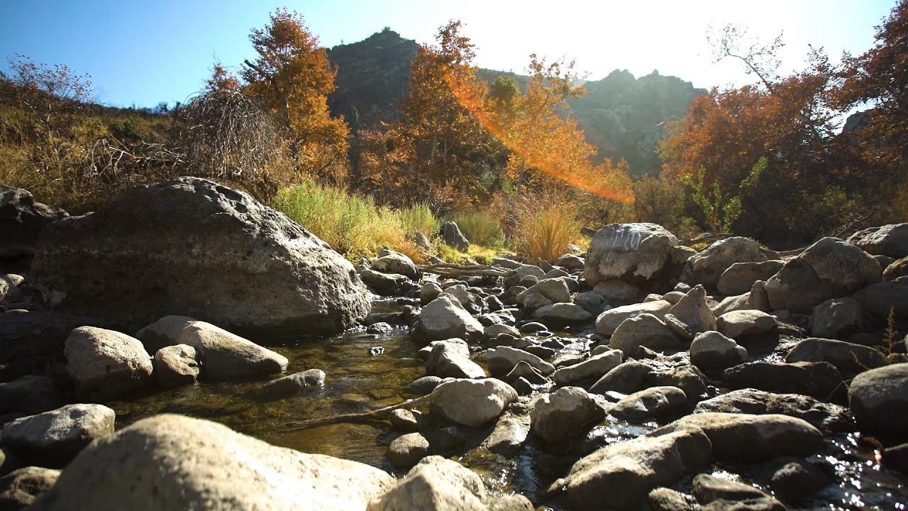 Take Nature in with a Hike 