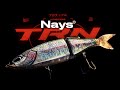 NAYS TRN 190