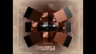 Dead Poetic - A Hoax To Live For