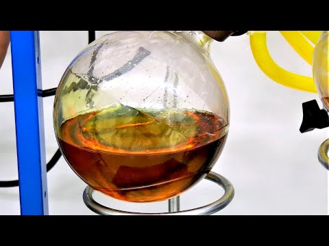 Inside a Cannabis Lab - CannaSphere Shorts