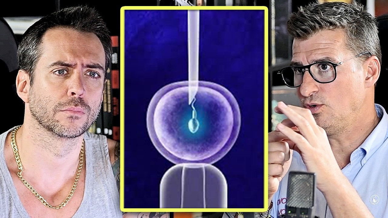 La reproducción asistida explicada de manera sencilla por un experto