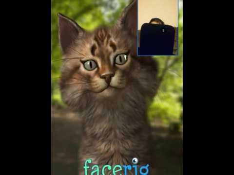 download lagu mp3 mp4 Facerio, download lagu Facerio gratis, unduh video klip Facerio