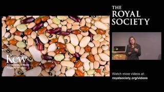 Genes to beans: polyploidy on a plate