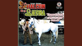 El Navegante Lyrics English Translation