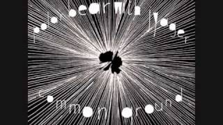 Polar Bear-Flowerpot Remix