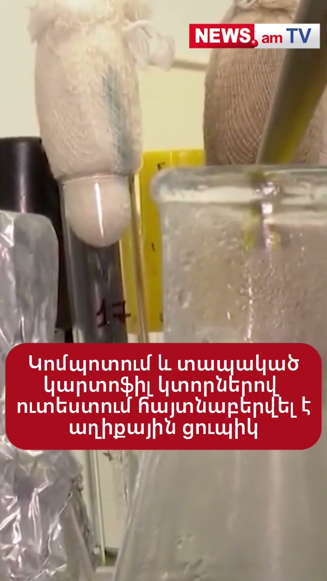 Կոմպոտում և տապակած կարտոֆիլ կտորներով ուտեստում հայտնաբերվել է աղիքային ցուպիկ