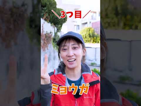 堆肥の良いオプションマルチング菜園 2022