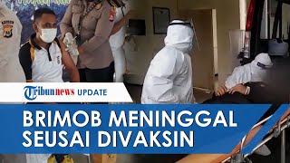 Kadinkes Ungkap Fakta soal Komandan Brimob Polda Maluku Meninggal seusai Divaksin AstraZeneca