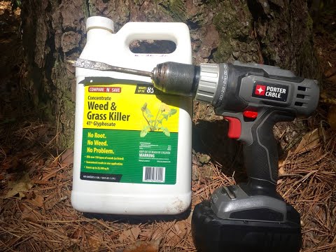 70ft Pine Tree Drill/Kill 1oz Glyphosate