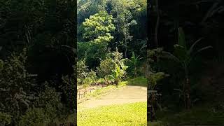 Download lagu sagala sesuatu engges di atur kunu maha kuasa #sunda #bodorsunda #komediindonesia mp3 Download lagu sagala sesuatu engges di atur kunu maha kuasa #sunda #bodorsunda #komediindonesia mp3