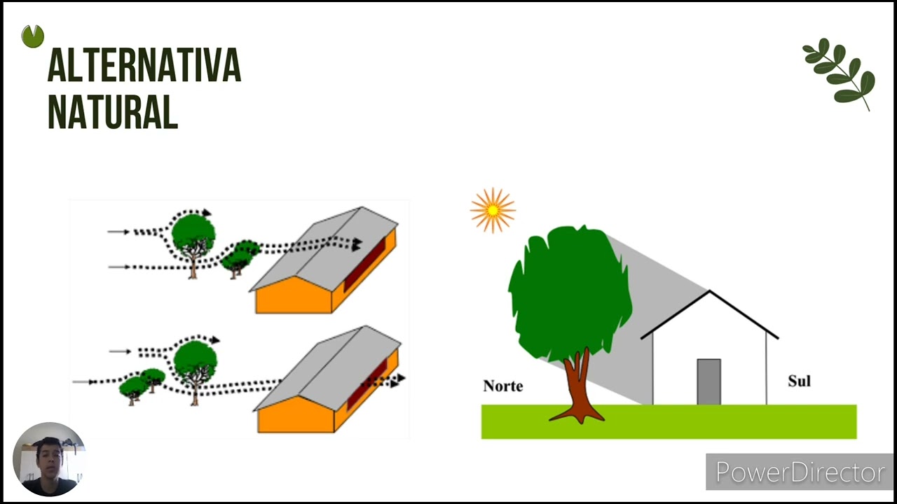 apresentação de Suínos