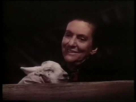 Walt Disney Presents: So Dear to My Heart - 1948 Trailer (UK/PAL Toned Version)