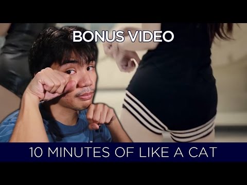 [BONUS VIDEO] 10 MINS OF AOA LIKE A CAT