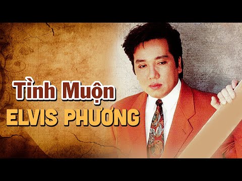 Thể hiện bởi Elvis Phương