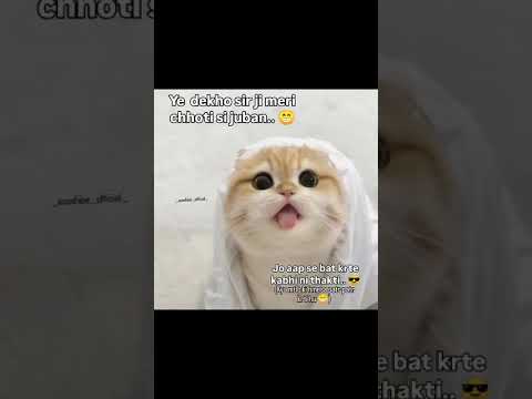 CHOTI c to juban Hy Mari Jo bs tumhary agy hi chalti aa #dudu #funny #dubidubidu #funnycartoon