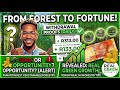 R313 Received Successfully From Morita Forestry Investment
