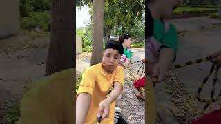 Cô Gái Dắt Thú Cưng Đi Dạo Công Viên || Pet walks in the park with its owner #shorts