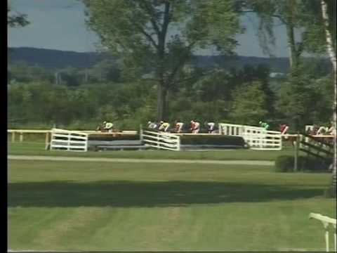 LL, 6. 7. 2016, 7. dostih - HANDICAP společnosti Kenox