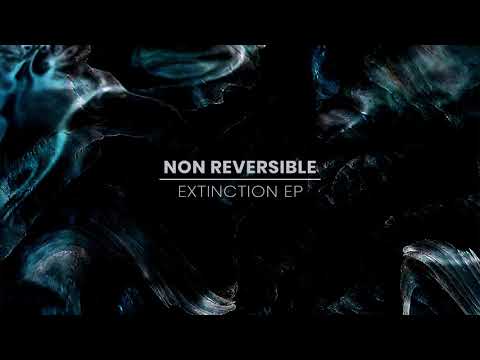 Non Reversible - Extinction