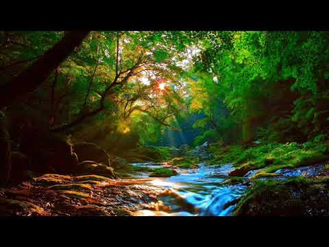 Anjey Satori - River Surround