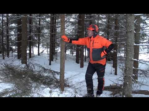 Metsolan Metsäkoulu 78, Top 4-6 vinkit hankintahakkaajalle.