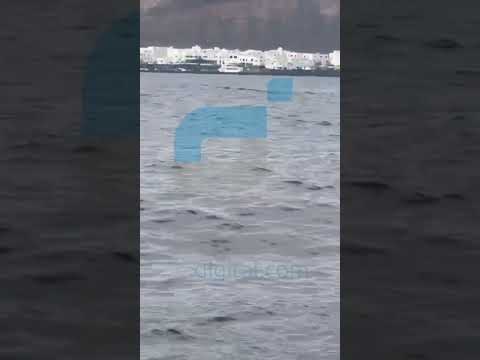 Avistada una ballena en el norte de Lanzarote