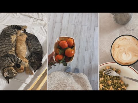 Daily VLOG | I finished the masonry at our house, I've been filming all day