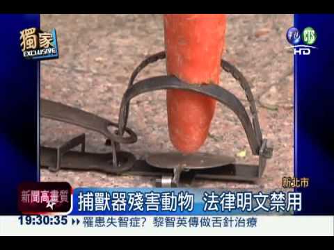 捕獸器≠捕獸夾 管委會狡辯惹怨