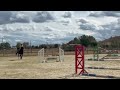 PETIT CHEVAL ANGLO ARABE HONGRE POUR CSO CCE 