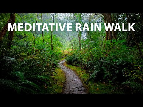 Meditative Rain Walk in a Lush Forest, Burnaby Mountain BC Canada