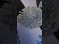 This Job Feels Kinda Illegal Cash Cleaner Simulator