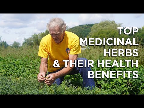 Top Medicinal Herbs, Medicinal Uses and Health Benefits