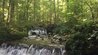 Download lagu Sounds of Rivers and Birds in the Forest for Sleep, Relaxation and Therapy, Make the Soul Peaceful mp3