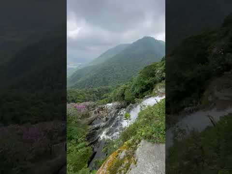 FUNICULAR.4 Pontes, Túneis, Tobogã.Casa de Máquinas, até a Laje. #youtube #conteúdoincrível