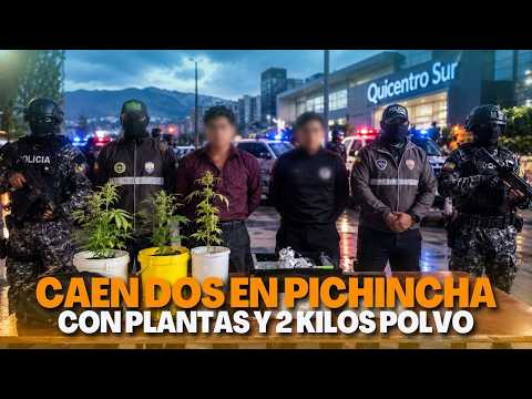¡CAYÓ EL INVERNADERO DE QUITO! 😱 Estaba en pleno Quicentro Sur #noticias #ecuador #hechos