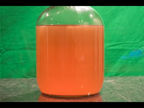 HB Blueberry Mead Tasting 2 2016